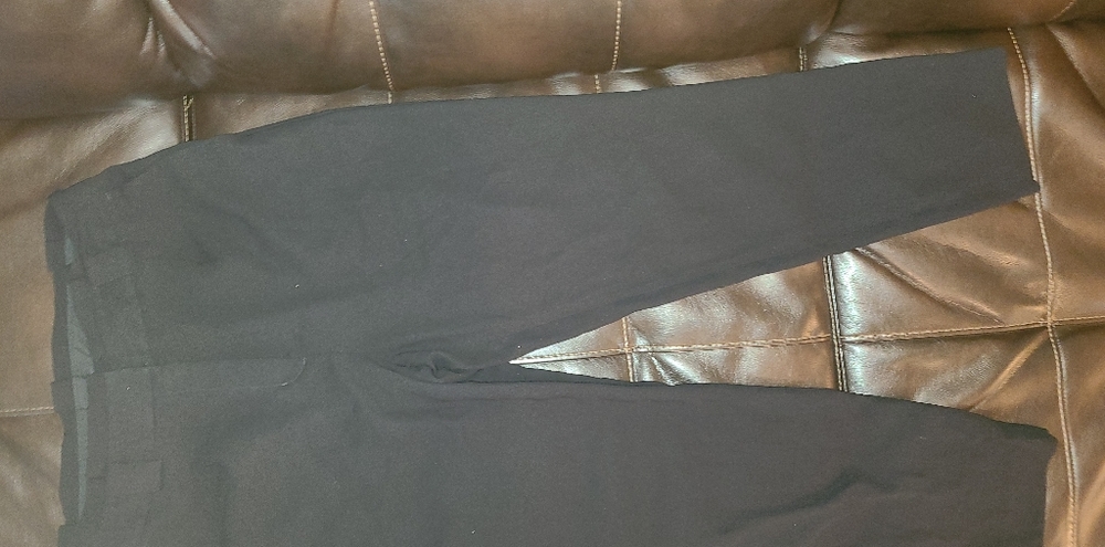Dress pants